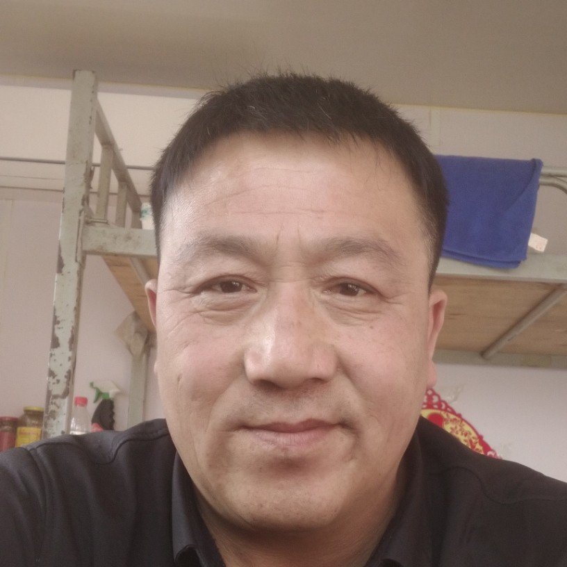 迷离倾心荷花的照片
