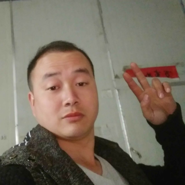 妩媚康乃馨的照片