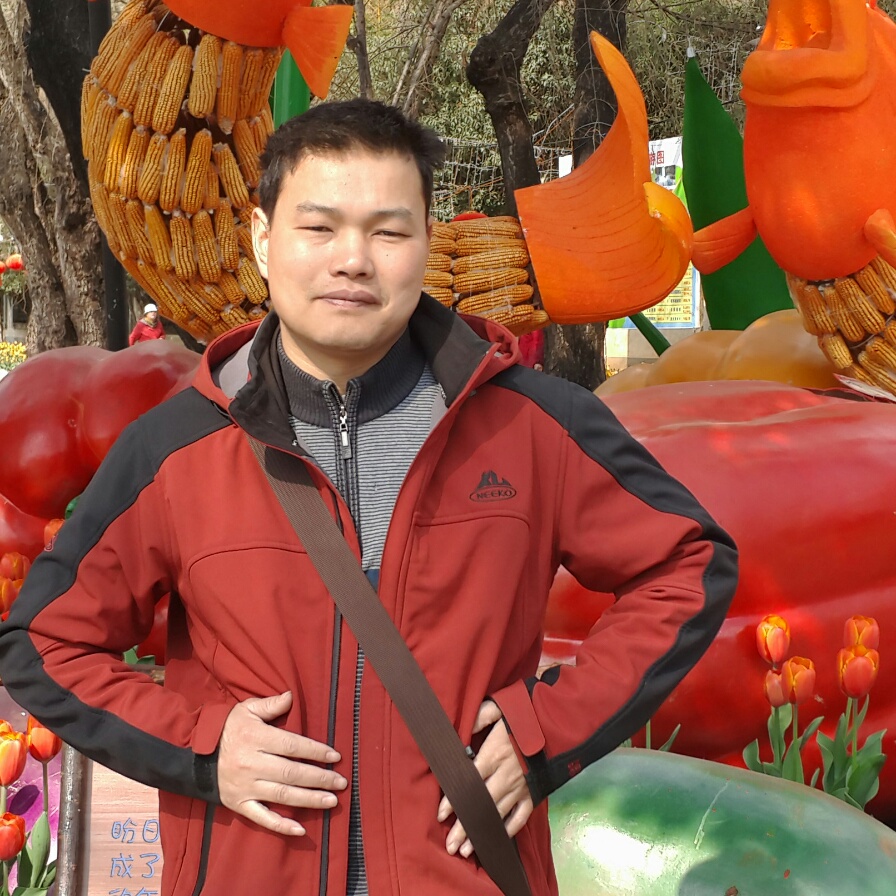 义气小蘑菇的照片