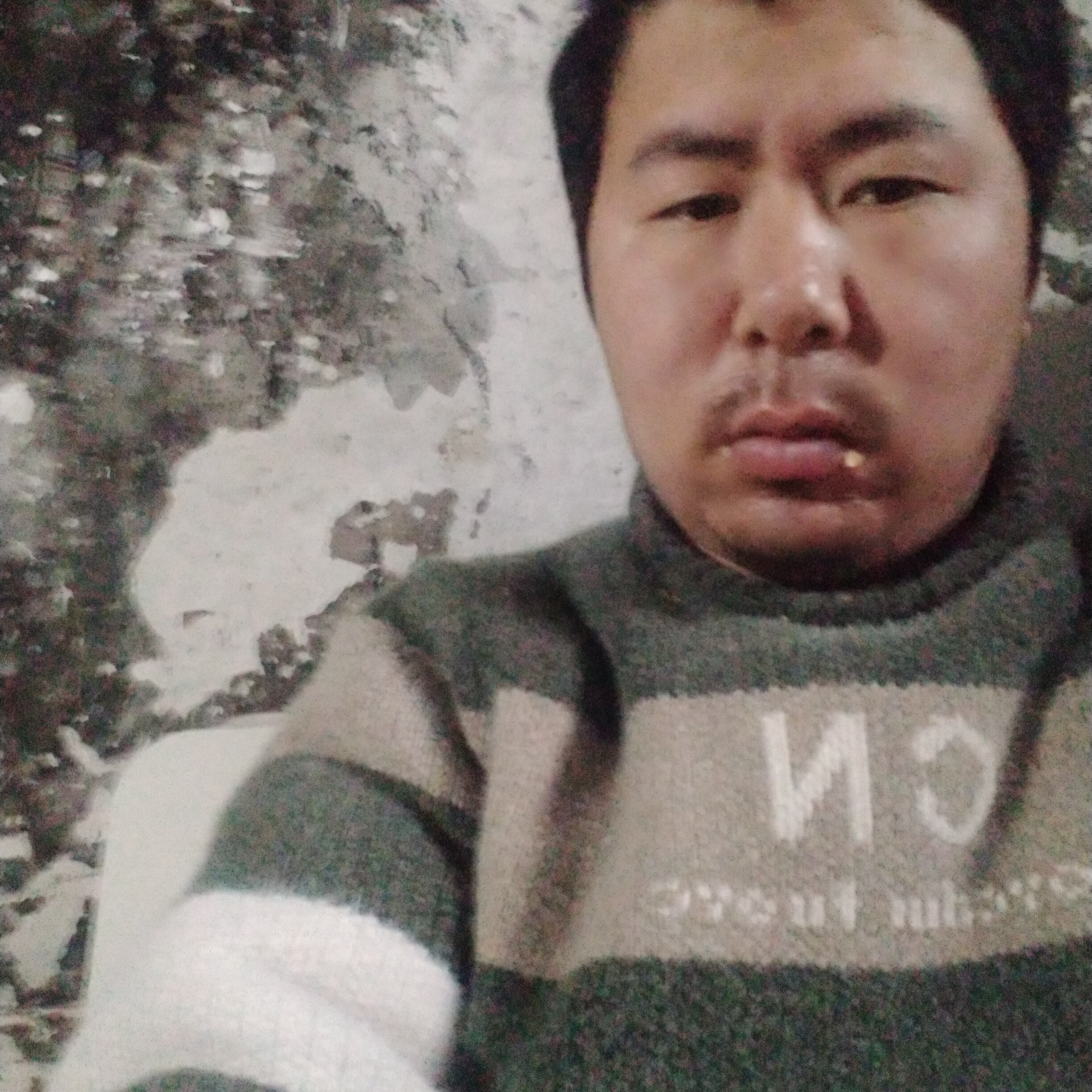 钻石踢风中的照片