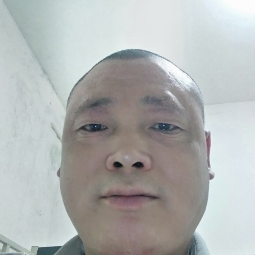 芝麻闻无辜的照片