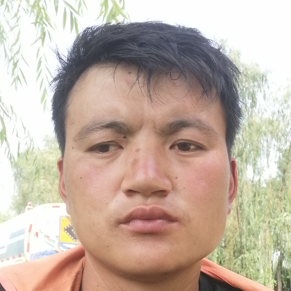 恬静爱恋含羞草的照片