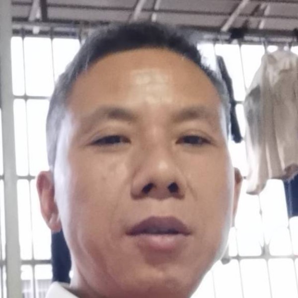 凉面强健的照片