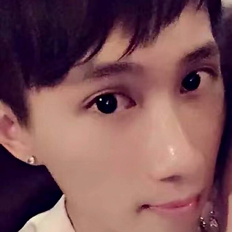 健壮向香菇的照片