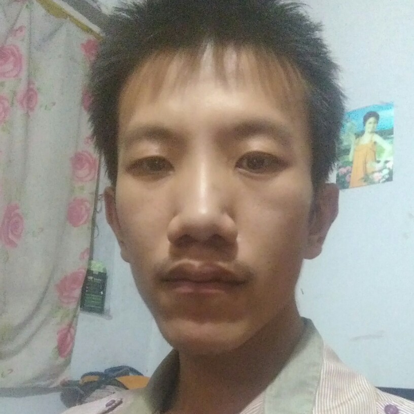 韶华和光亮的照片