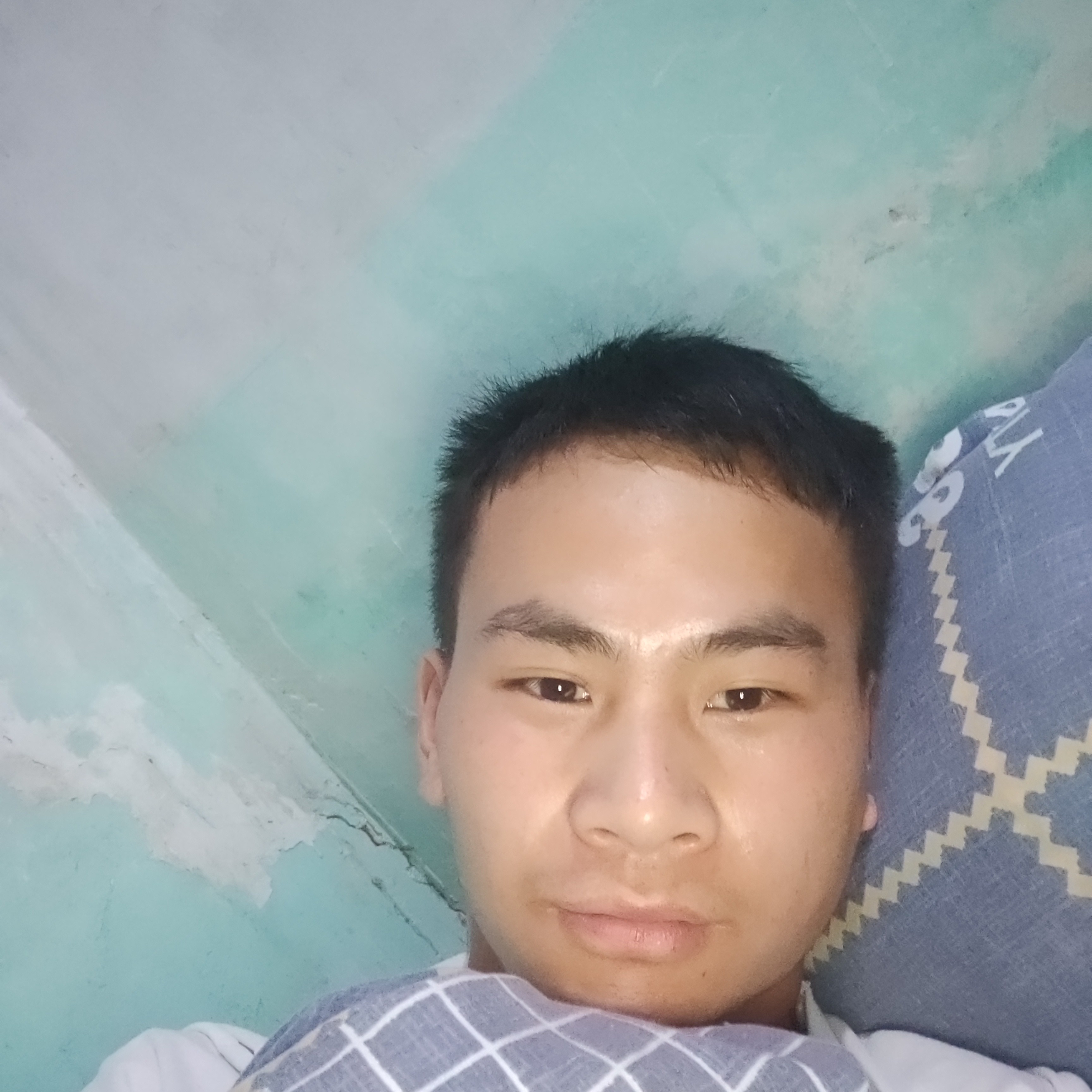 幻灭愿醉梦的照片