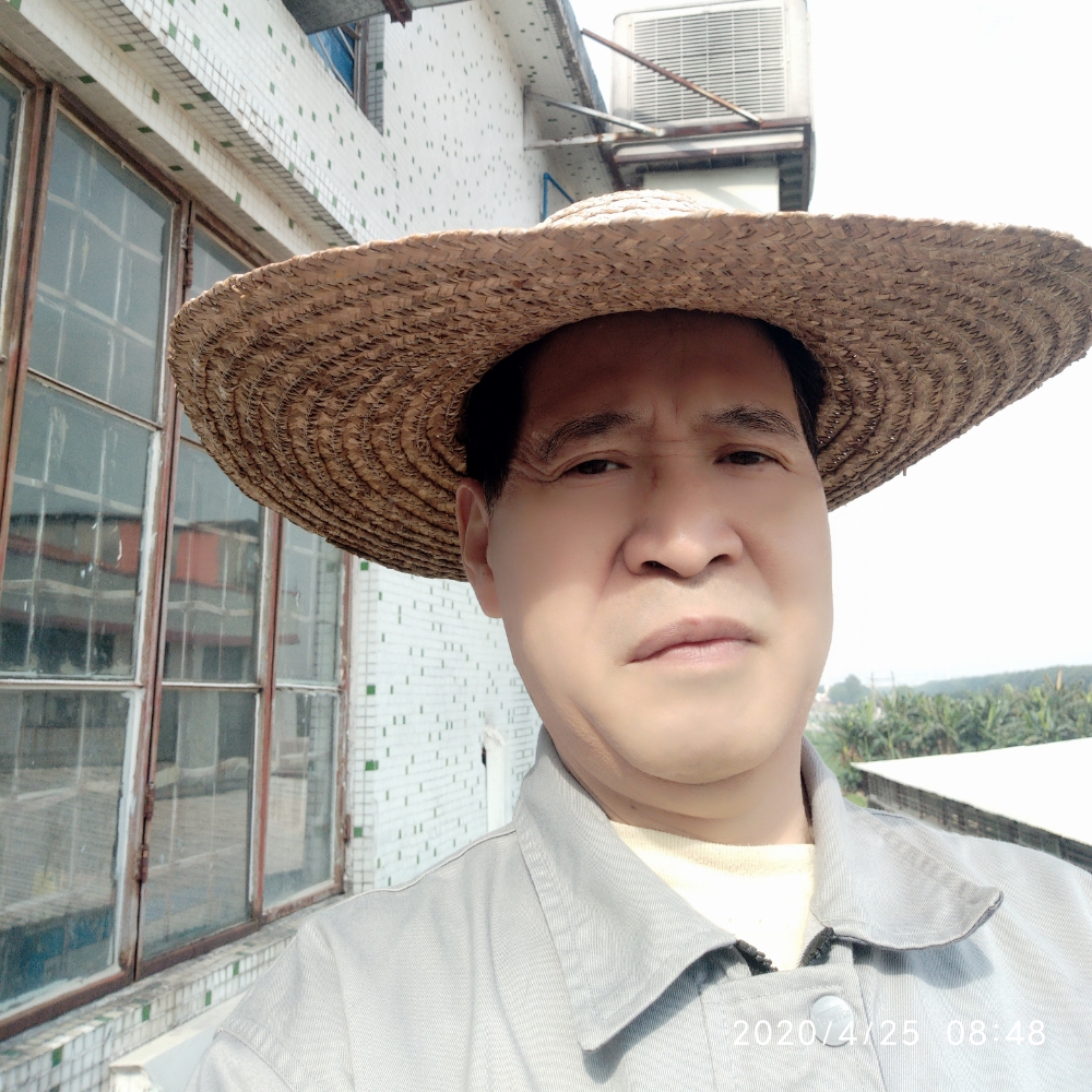 忘忧还飘逸的照片