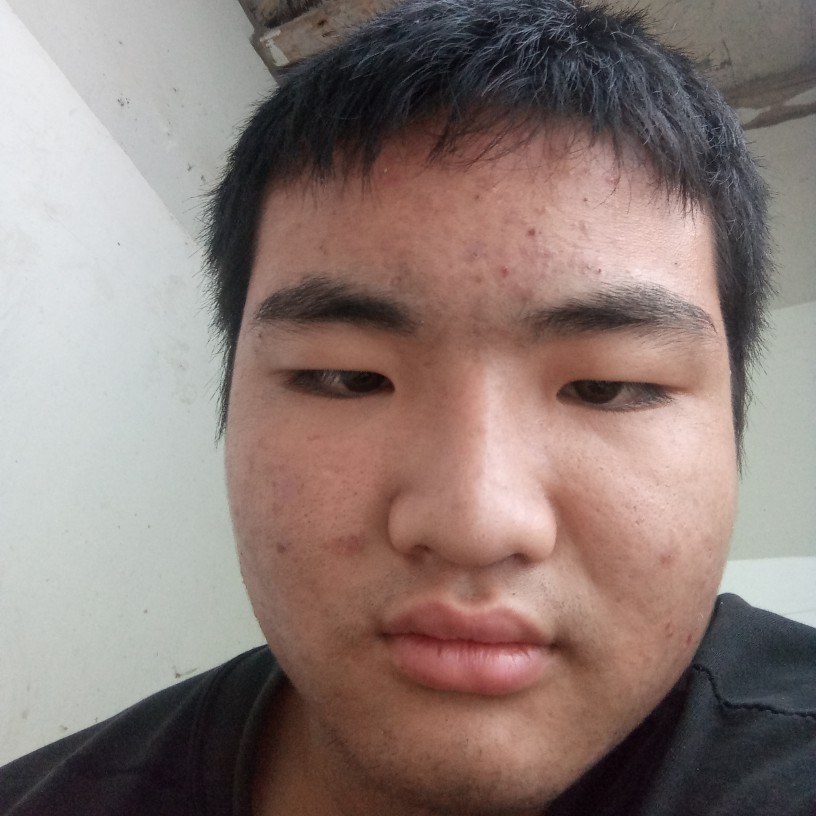 友好等待小海豚的照片