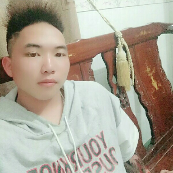 小蝴蝶绚烂的照片