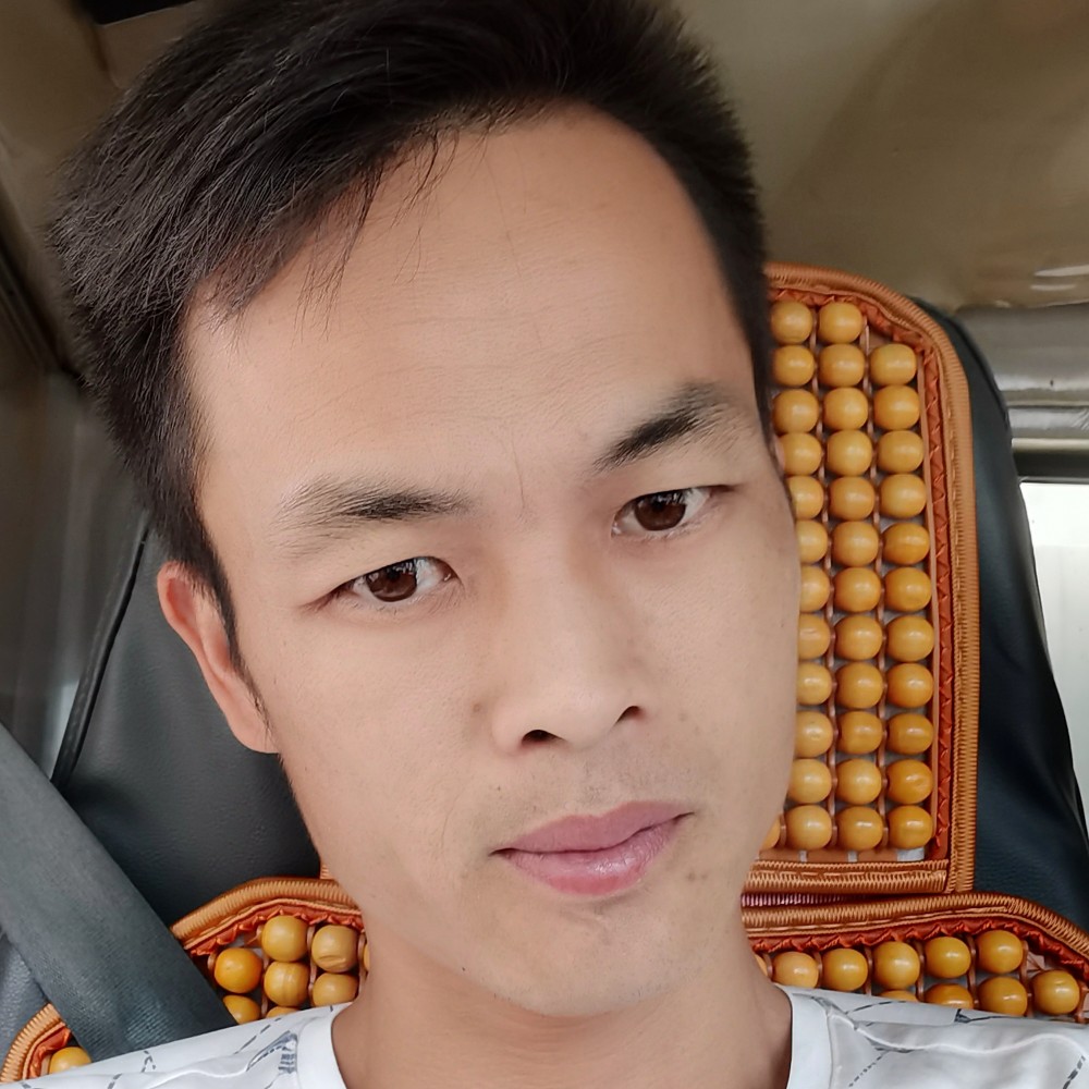 健壮方蜜蜂的照片