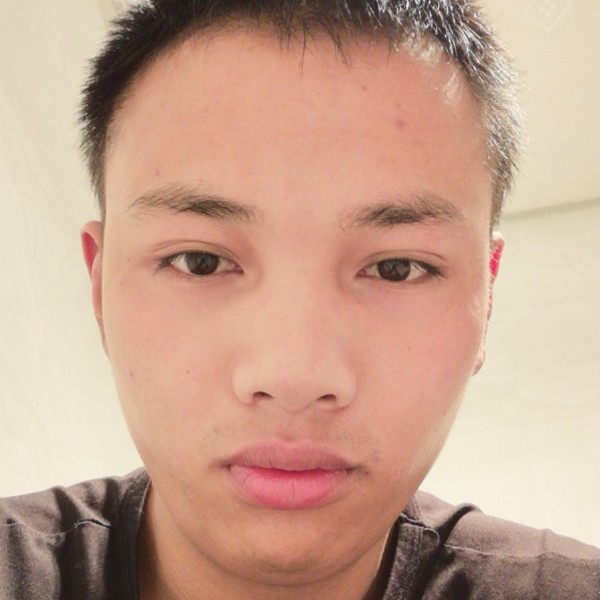 阳光人生路的照片