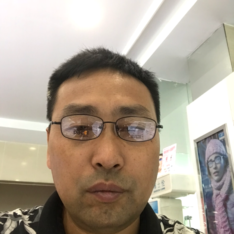 小天鹅迎热心的照片