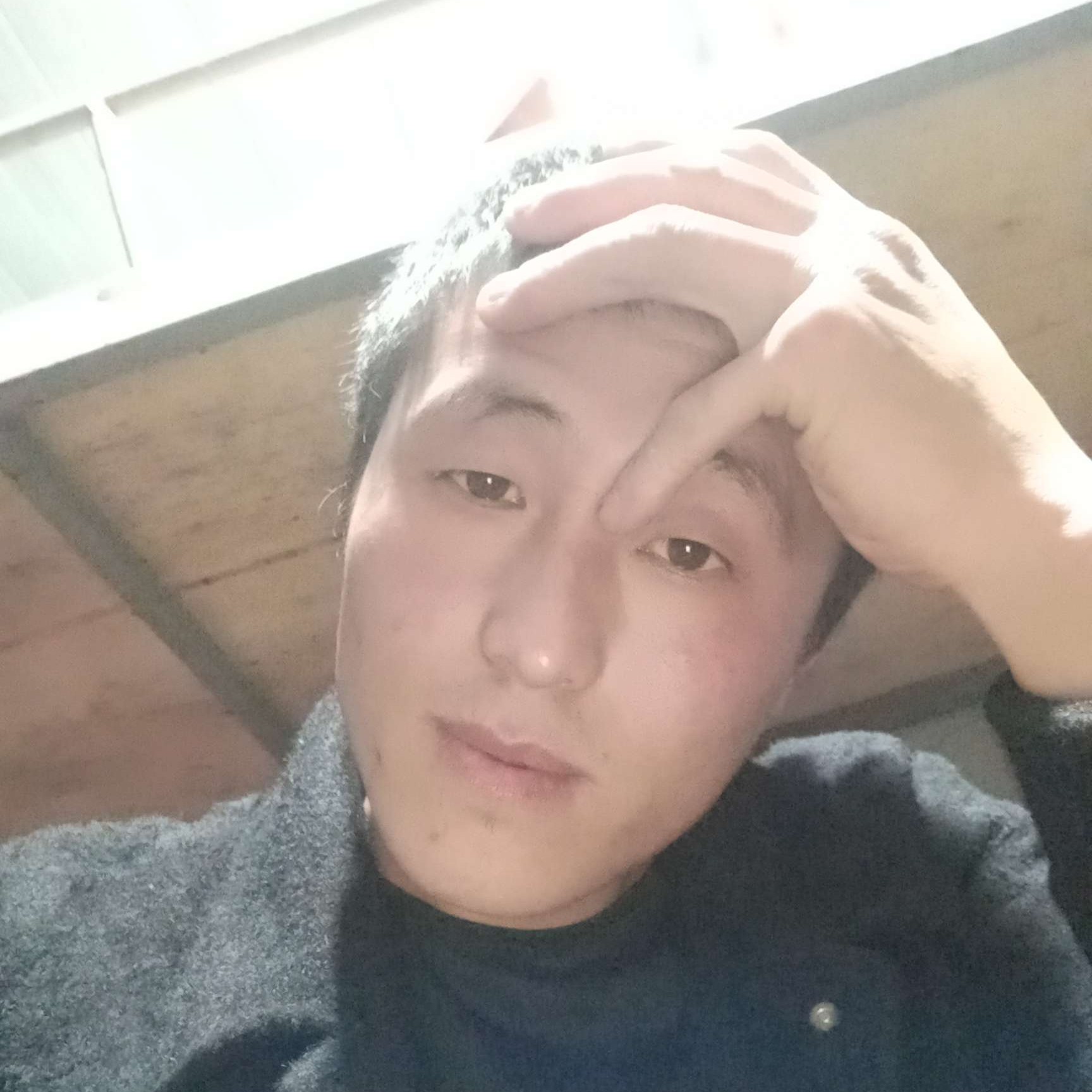 诚心拾忆黄蜂的照片
