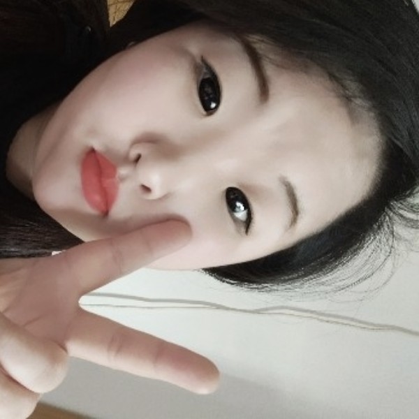 俭朴方飞机的照片