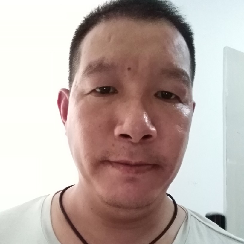 平淡老虎的照片