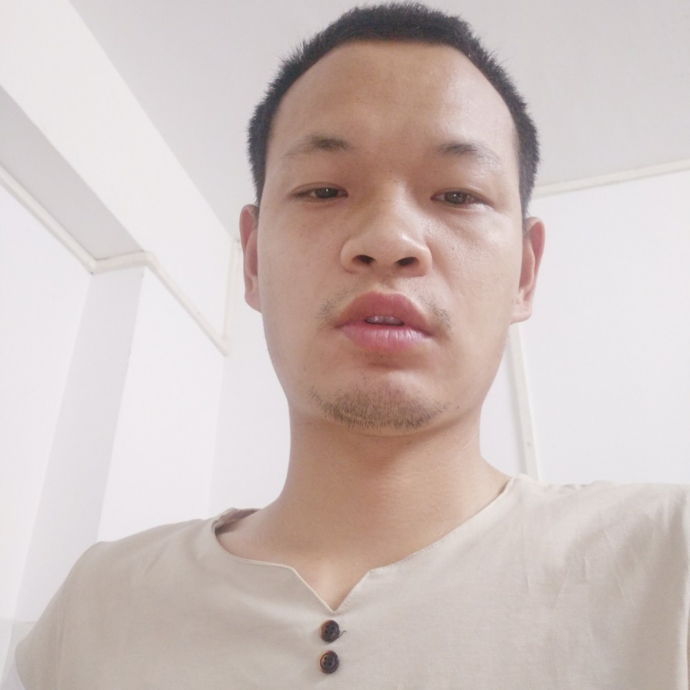 小熊猫翩飞的照片