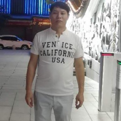 发夹向勤劳的照片
