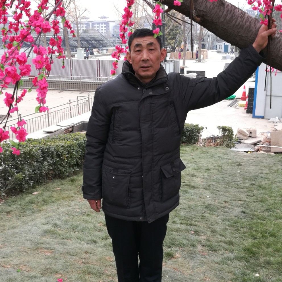 英勇西牛的照片