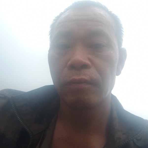 凤其元美的照片