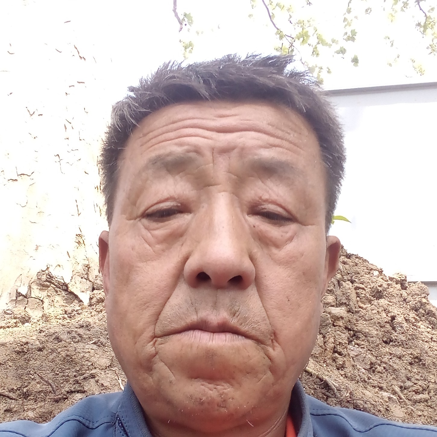 难忘的华的照片