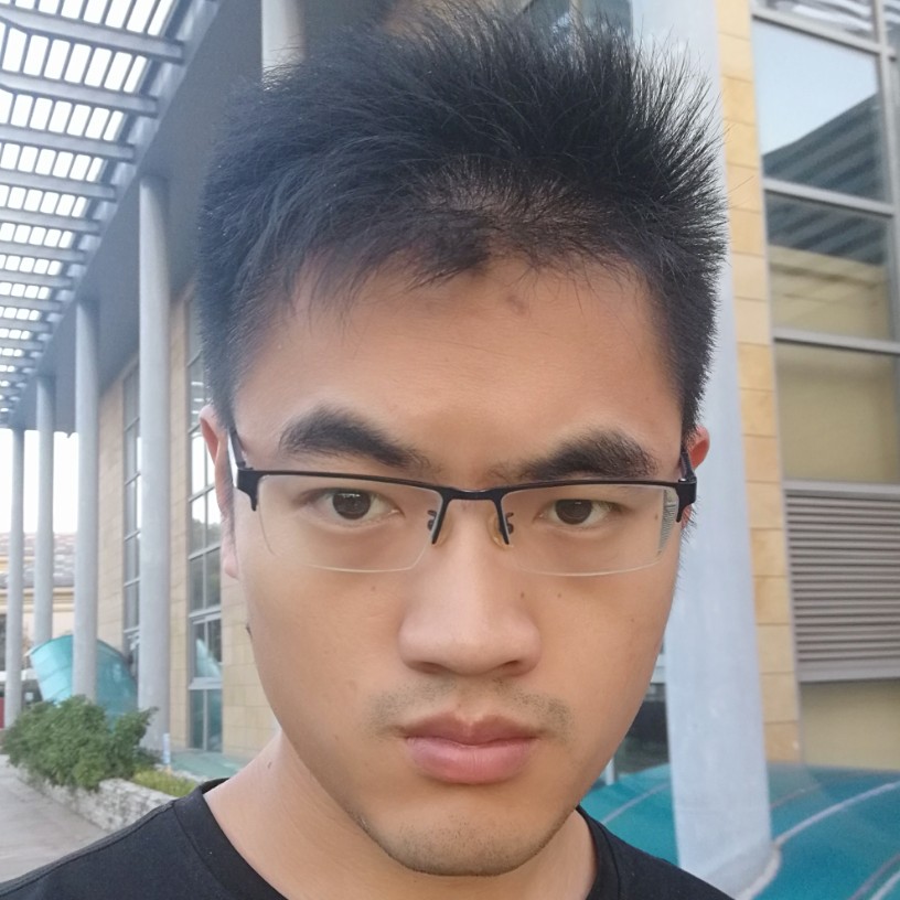仙人球骑士的照片