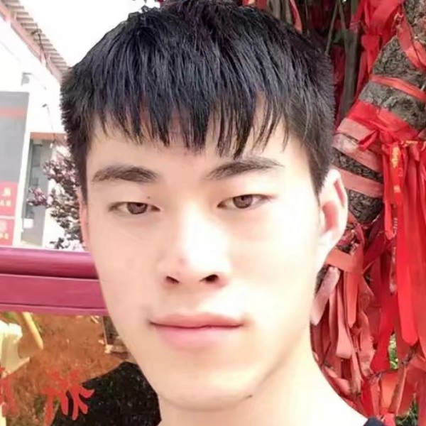 卡夫卡的狮子的照片