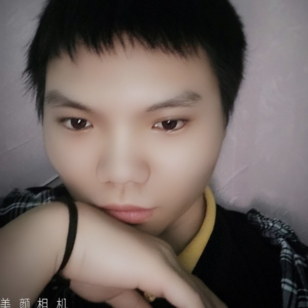 鱼与沉静的照片