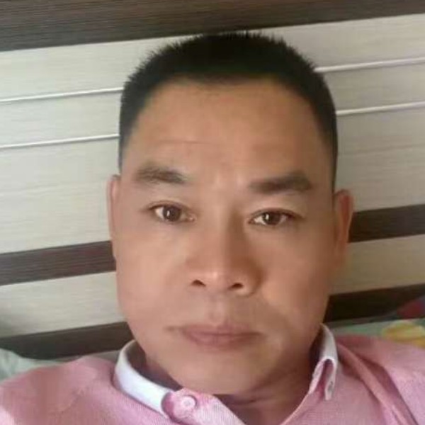 结实乌冬面的照片