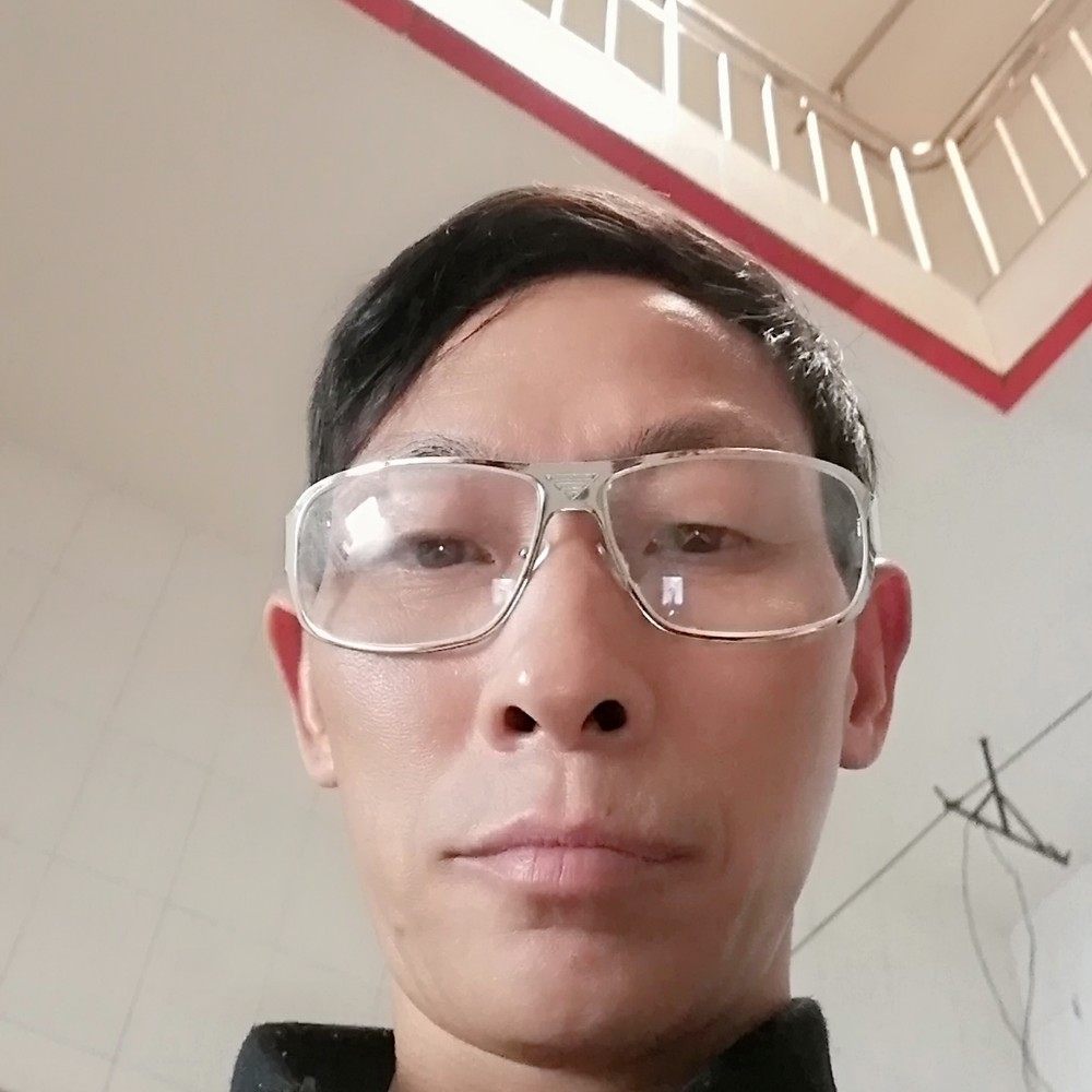 小白菜顺利的照片