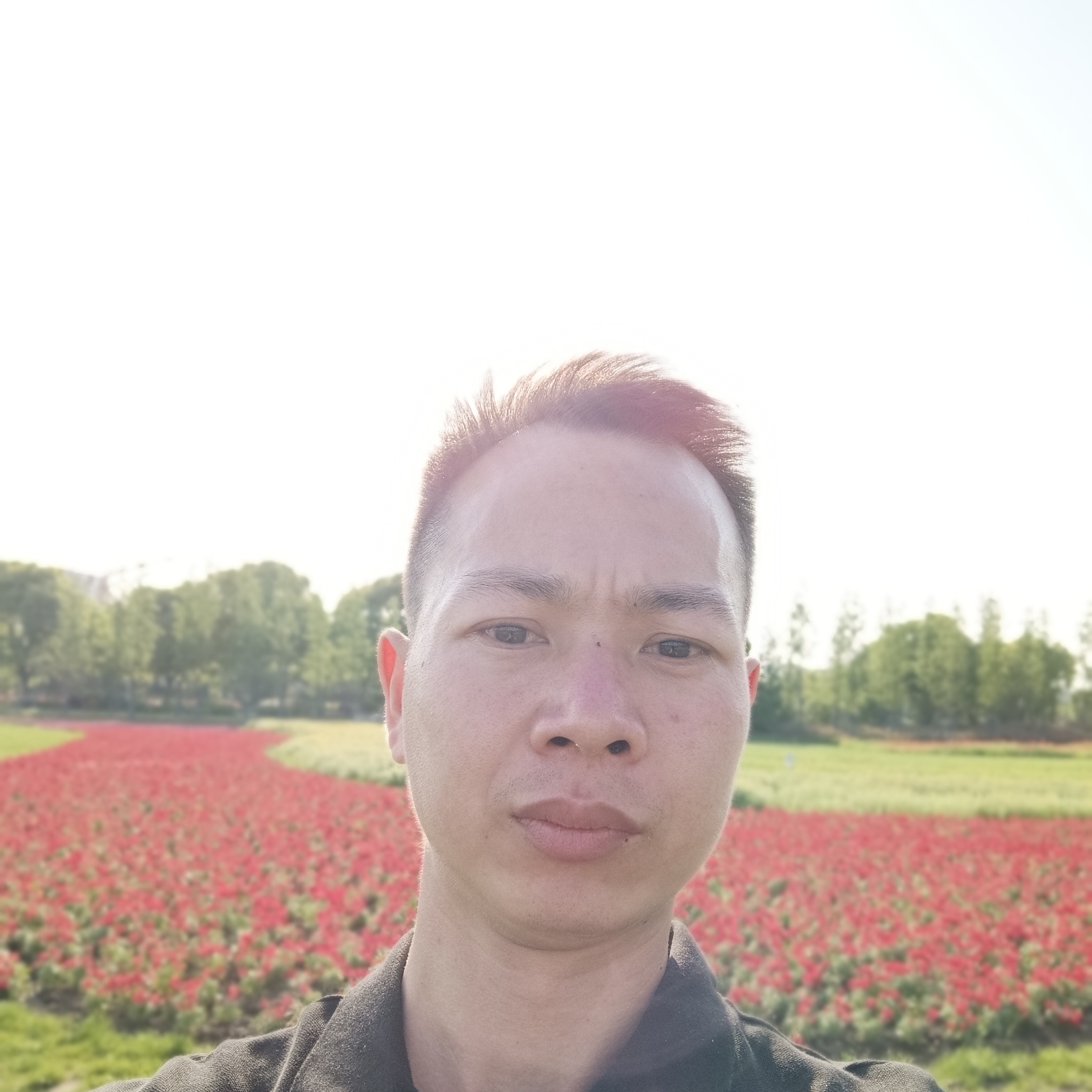 顺利爱恋晨曦的照片