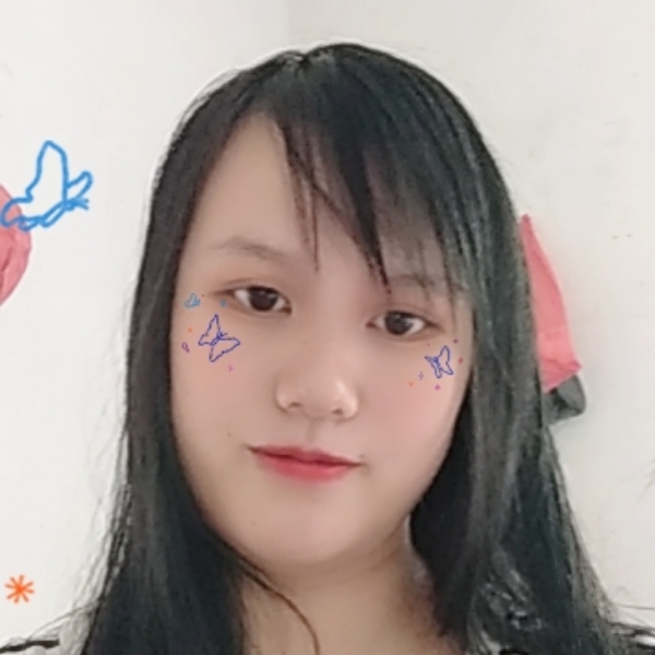 白猫等待执着的照片