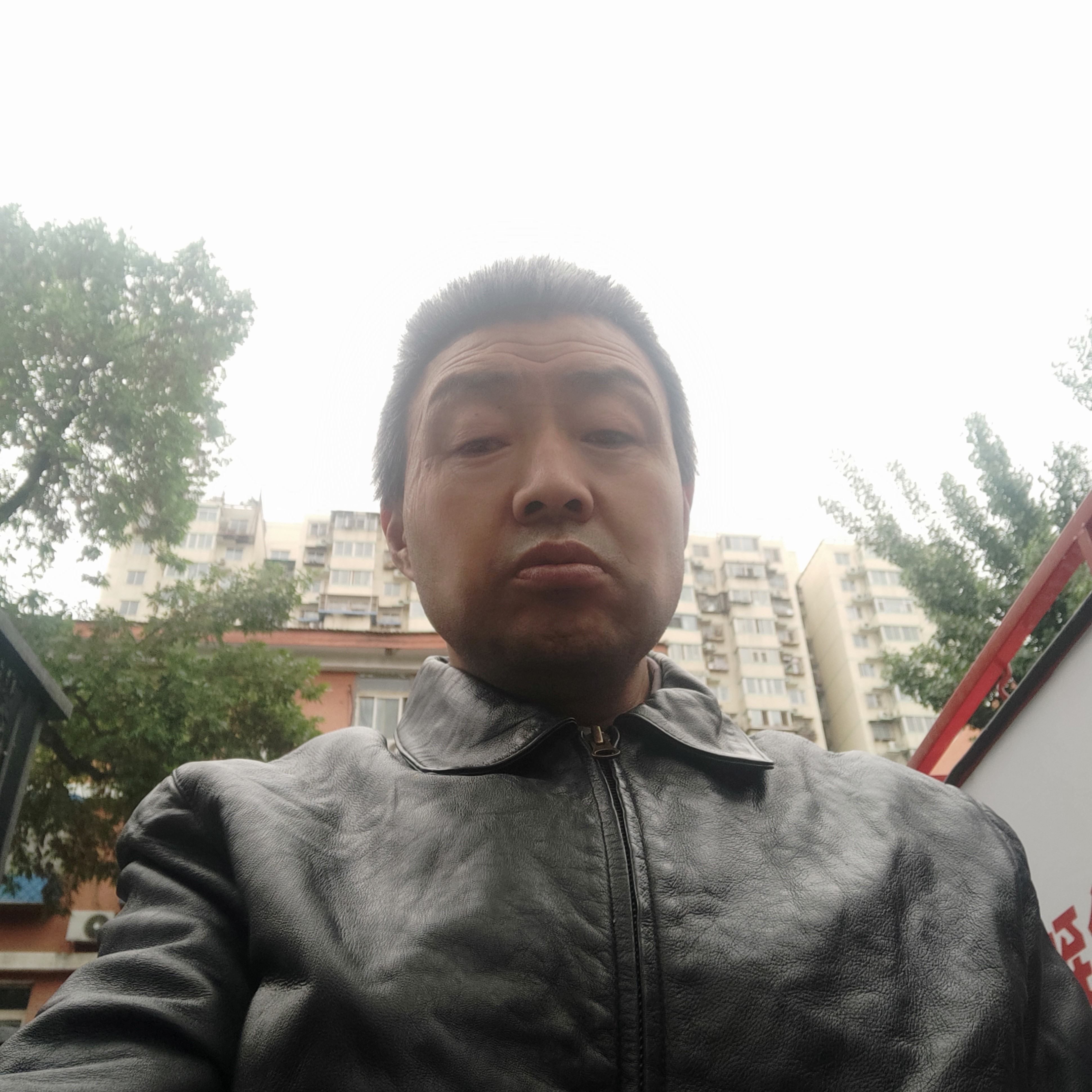 荷花回眸乐观的照片