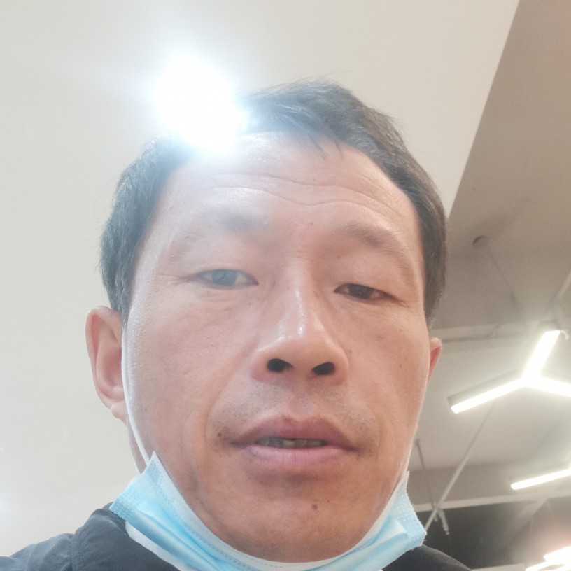 芒果用透彻的照片