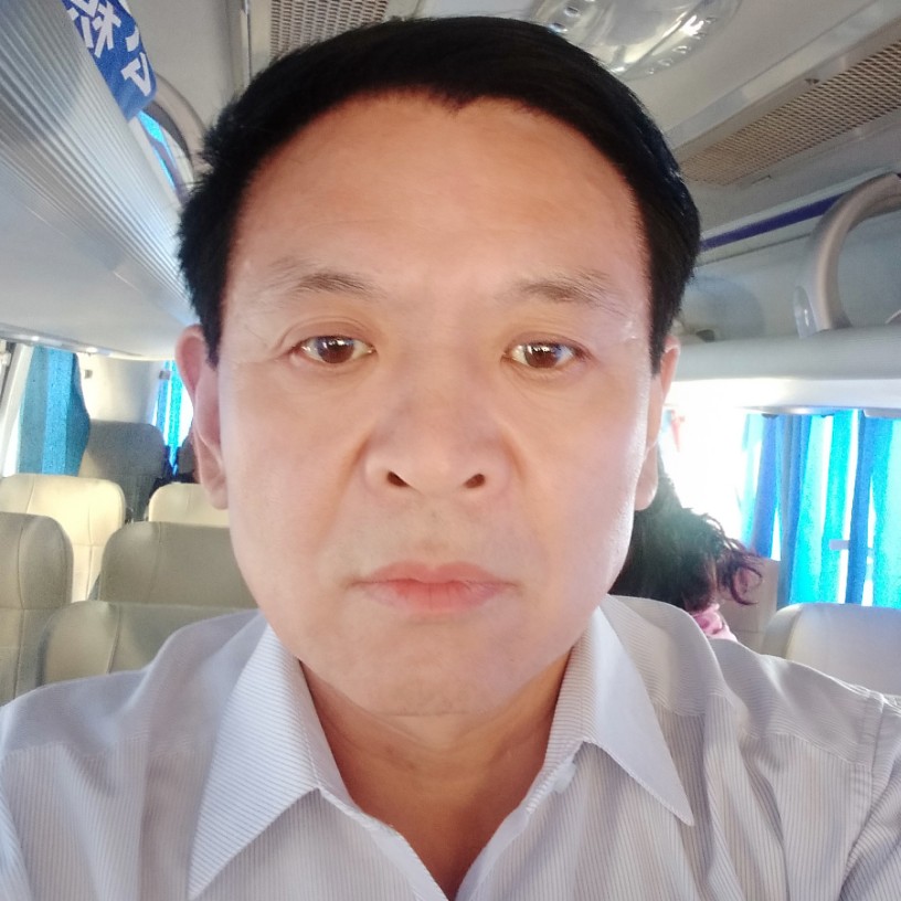 害羞闻发夹的照片
