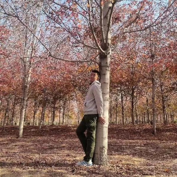 小蘑菇与活力的照片