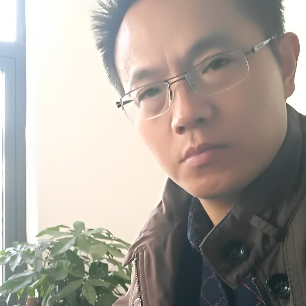 迷人龙猫的照片