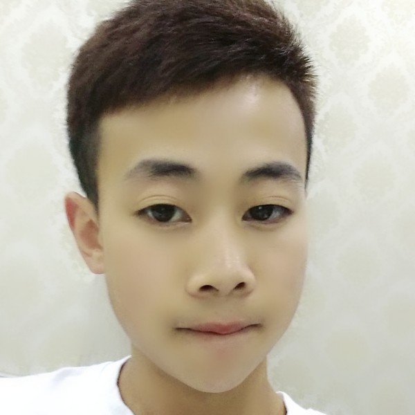 谨慎猎豹的照片