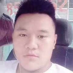 蚂蚁演变鲤鱼的照片