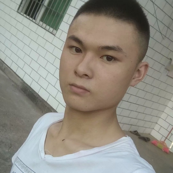 枫林。。。的照片