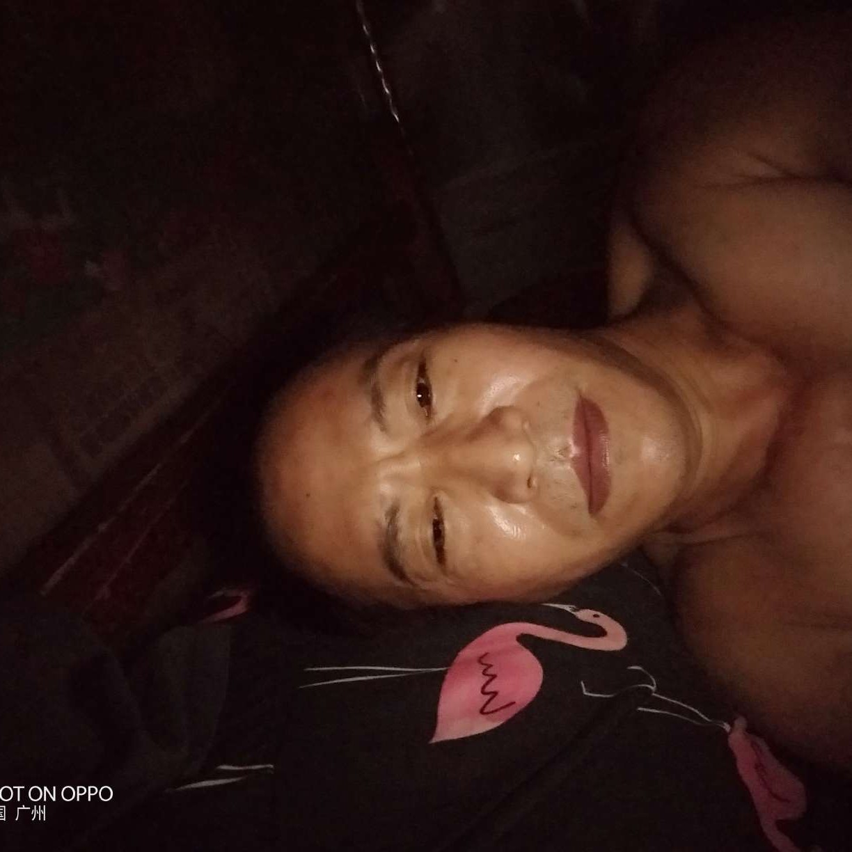 哈密瓜还英俊的照片