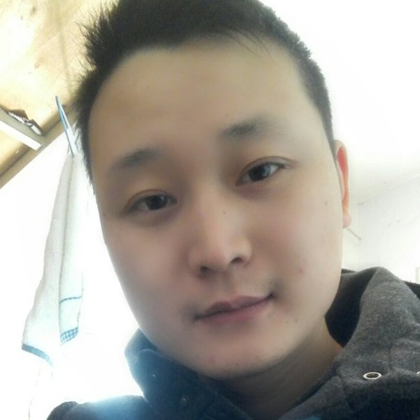 虚拟保卫乌龟的照片