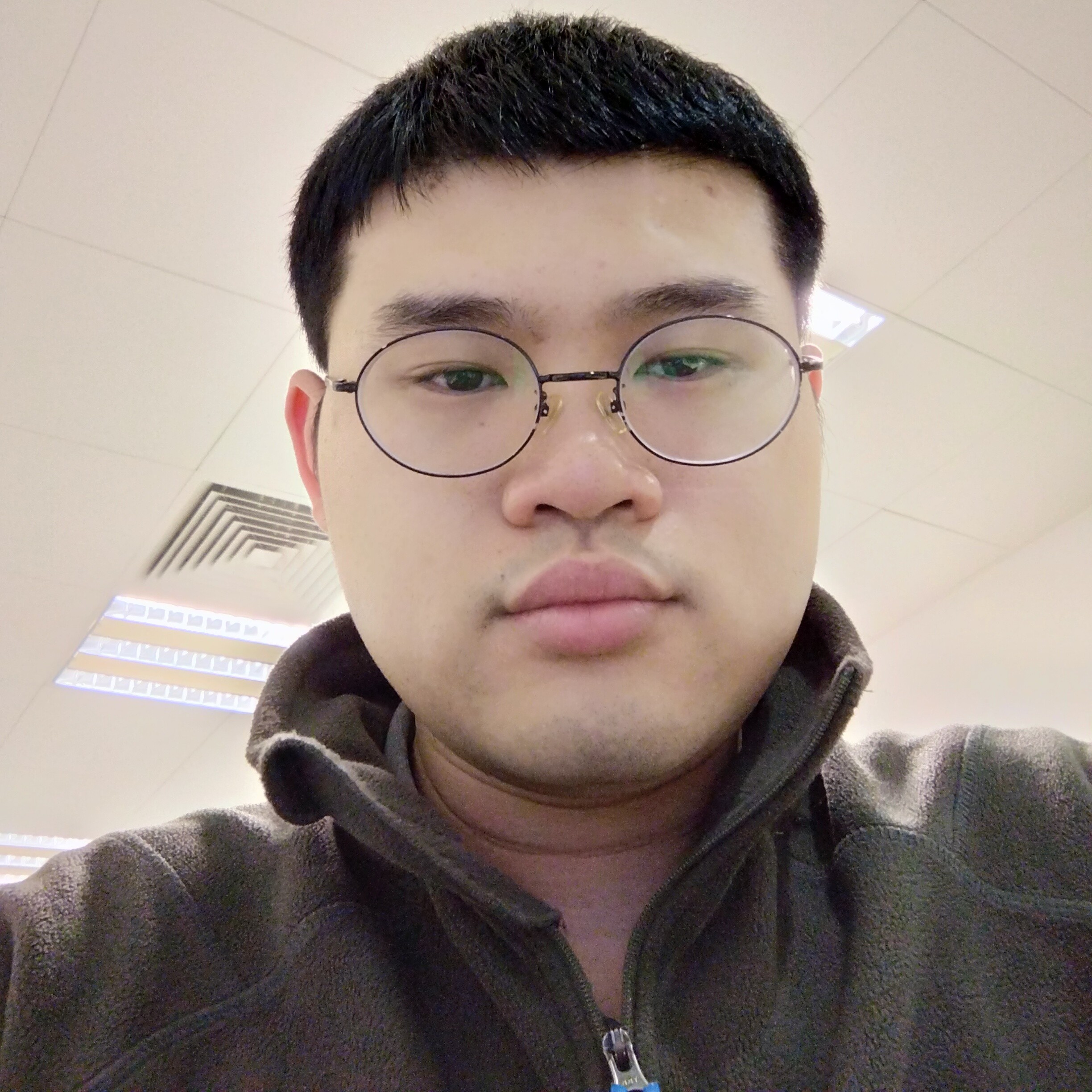 阳光下森林的照片