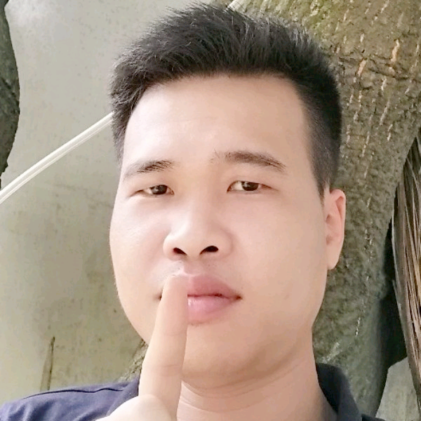金毛羞涩的照片