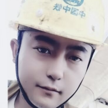 听风的蝉的照片