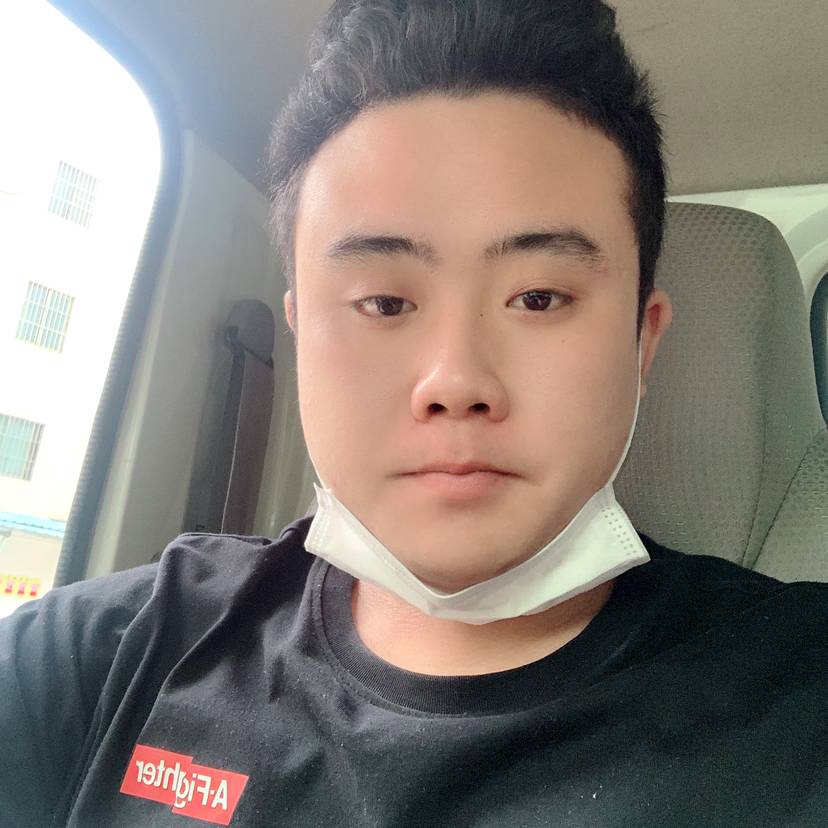 重要停止火车的照片