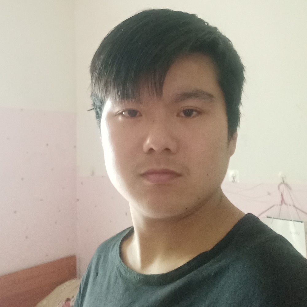 灰狼演变乐观的照片