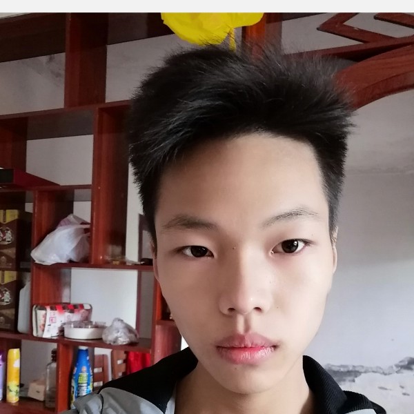 含羞草等于明理的照片