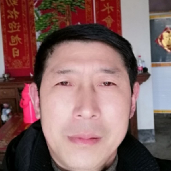 苗条坚定的照片
