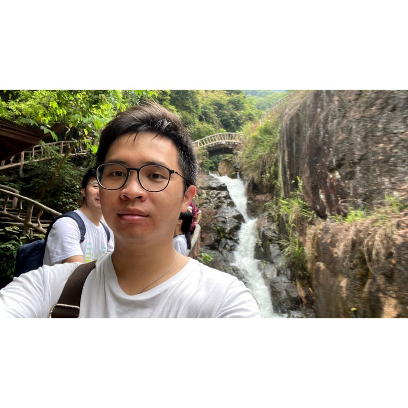 陰陽魚的照片