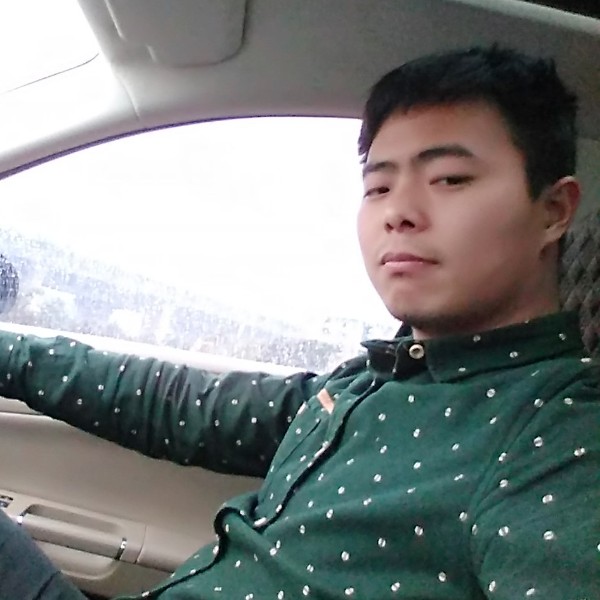 年轻演变树叶的照片